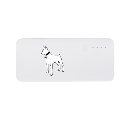 ACCY - 10000 mAh Power Bank Thumbnail