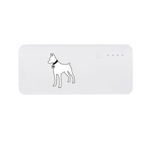 ACCY - 10000 mAh Power Bank Thumbnail